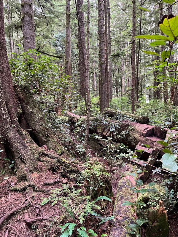 Día 3 en el West Coast Trail